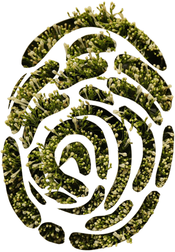 A fingerprint shape filled with small white and light green flowers and foliage.